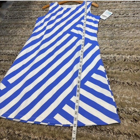 MAHI GOLD Blue and White Dress - Picture 8 of 9